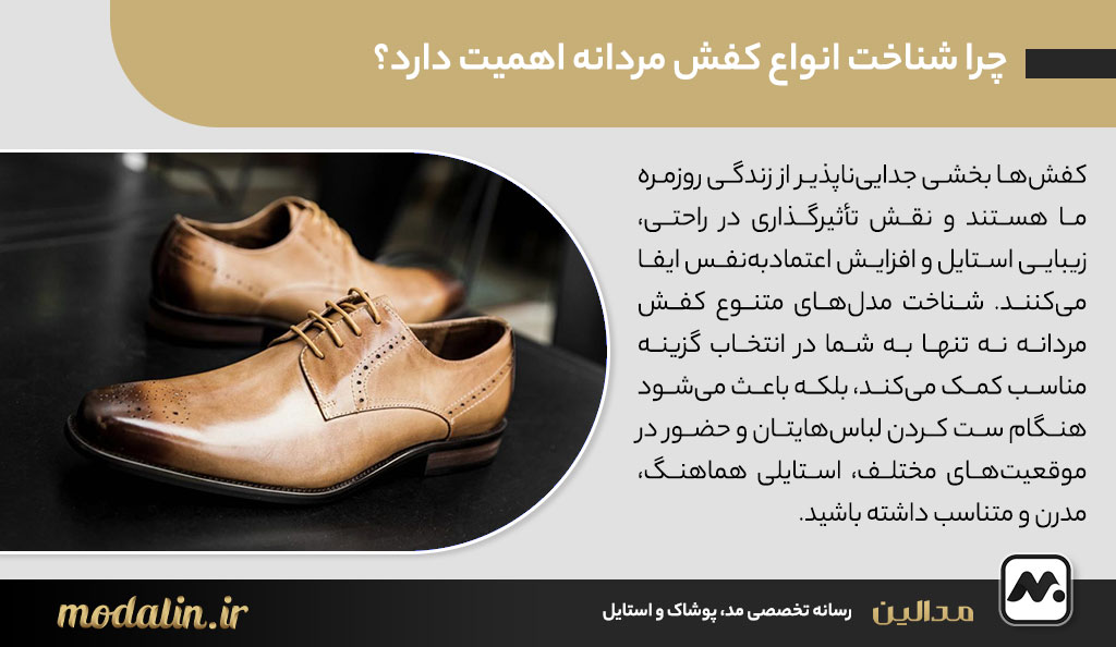 چرا شناخت انواع کفش مردانه اهمیت دارد؟