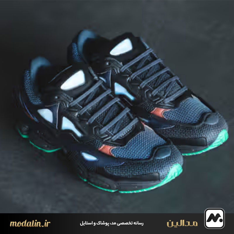 Raf Simons x Adidas Ozweego 2